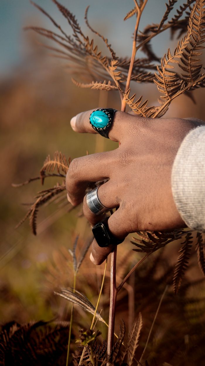 A hand adorned with various rings grasps brown fern plants in a natural setting.